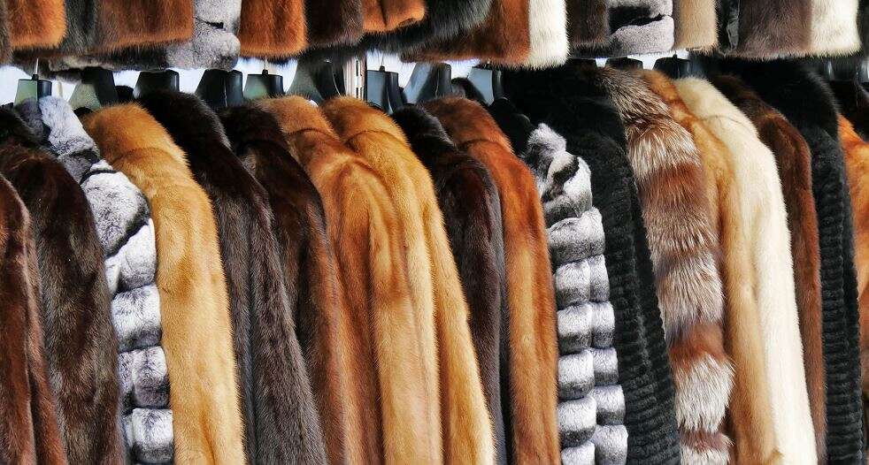 In global first, Israel bans sale of fur in fashion trade – www ...