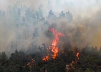 Highway 1 closed due to wildfire in Mevasseret Zion