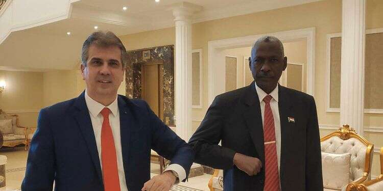 Sudan laments lack of US investment following Israel normalization