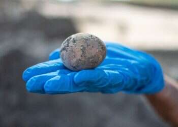 Which came first, the archaeologists or the 1,000-year-old egg?