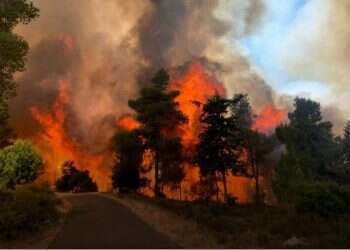 Forest fires rage outside Jerusalem, evacuations ordered