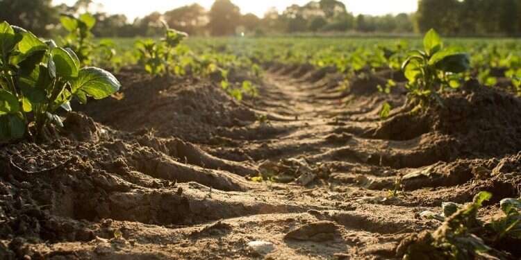 Israeli agtech startup CropX named 'Technology Pioneer' by World Economic Forum