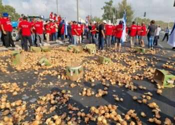 Farmers block roads across country to protest 'cowardly' reform