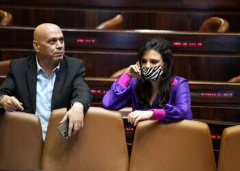 Opposition MK alleges coalition 'lied' to get citizenship law passed