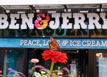 NYC Ben & Jerry's shop owner issues angry response over settlement boycott