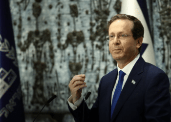 Herzog calls boycotts of Israel a 'new form of terrorism'