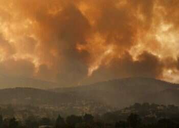 Wildfires rampage in Greek forests, causing 'biblical' destruction