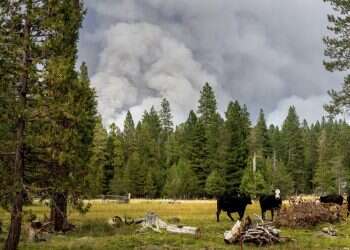 Global sizzling: July was hottest month on record, NOAA says