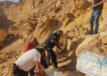 Hiker finds human remains in southern Israel