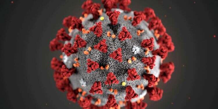 Experts sound alarm as vaccine-resistant COVID strain emerges