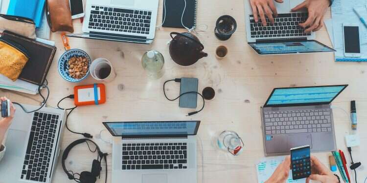 Study sniffs out surprising secret to startup success