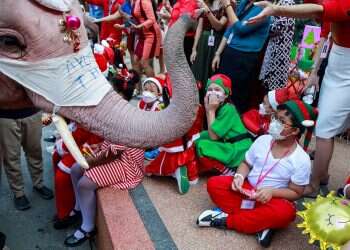 Elephant Santas in Thailand help protect kids against COVID