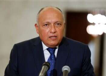 'Egypt supports renewal of Israeli-Palestinian peace talks,' FM says