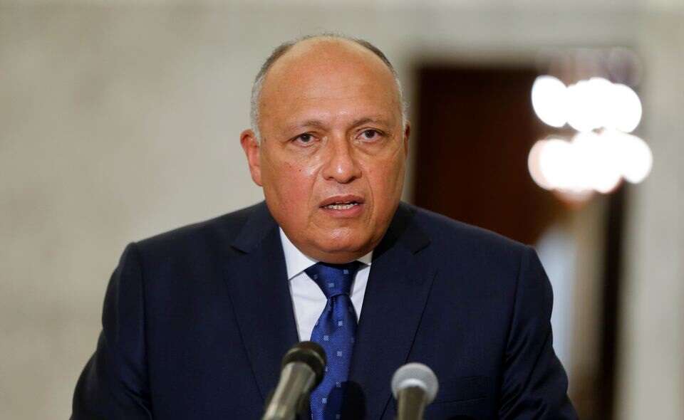 ‘Egypt supports renewal of Israeli-Palestinian peace talks,’ FM says ...