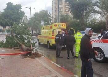 Man seriously injured by falling tree in first major winter storm