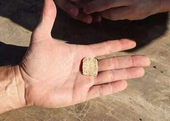 Talisman inscribed with ancient Hebrew found at Joshua's Altar