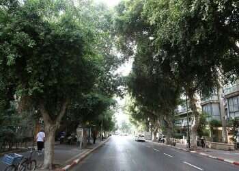 Israel to plant nearly half a million trees in cities by 2040