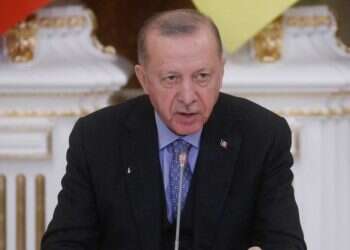 Turkey's Erdogan tests positive for COVID