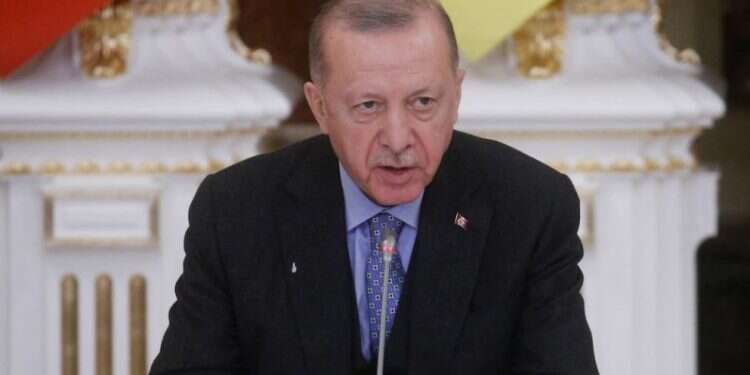 Turkey's Erdogan tests positive for COVID