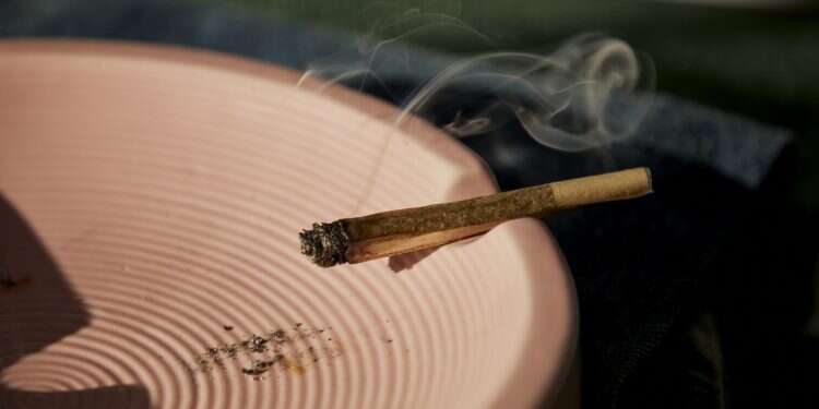 Thailand becomes first Asian nation to decriminalize recreational cannabis