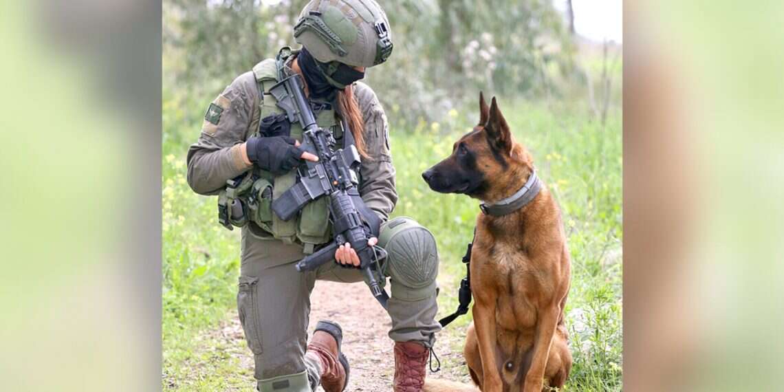 Former Haredi Soldier Paves Own Path At Idf Canine Unit – Www 