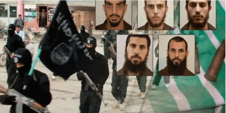 Israel thwarts Islamic State plot against 'infidel' students