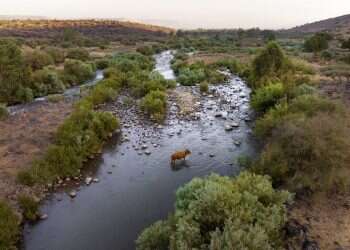 Israel, Jordan agree to team up to save Jordan River