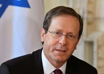 Herzog begins consultations on who should form government