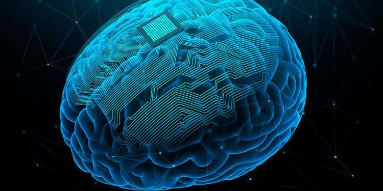 'Senior managers are looking to see where AI can replace you'