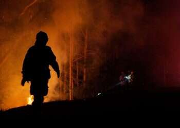 Wildfires threaten animal life in Chile