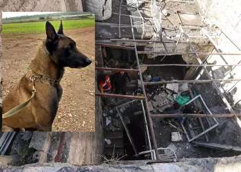 Beloved canine 'who saved soldiers' lives' mourned after dying in Nablus raid