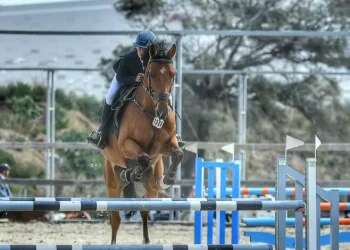 National team horse poisoning raises suspicions of terrorism