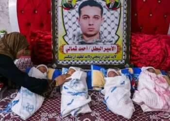 Minister outraged after terrorist smuggles semen to Gaza, wife gives birth to quadruplets