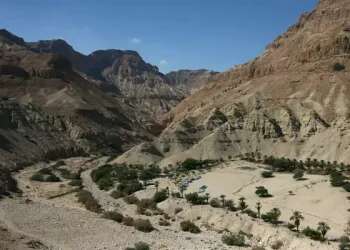 5-year-old killed, about dozen injured in rockslide at Dead Sea nature reserve