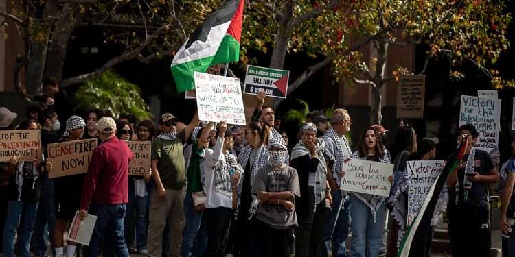 Jewish man dies after confrontation during pro-Israel and pro-Palestinian demonstrations