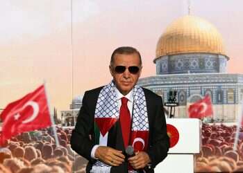 Erdogan took advantage of Israel