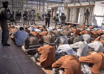 Attorney general asks why security prisoners do not receive fruit