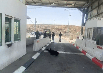 Stabbing attack thwarted near Jerusalem; police neutralize terrorist