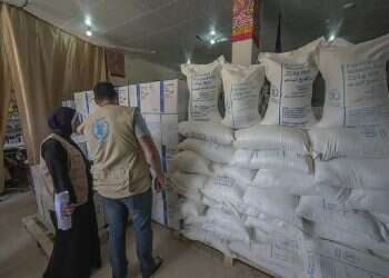 UN official admits no evidence of famine in Gaza