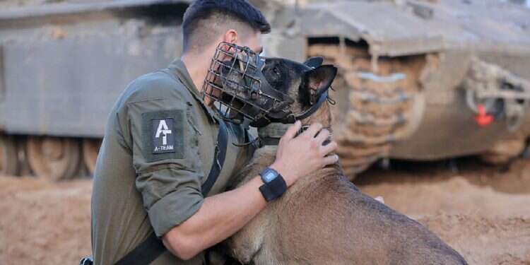 Hamas kills Israeli military dog after abduction