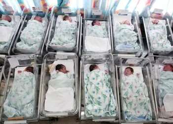 Quadruple surprise: Hospital witnesses rare birth