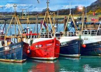 Fishing boats in harbor