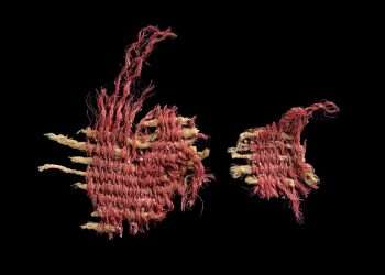 Discovery of ancient textile fragment sheds light on priestly garments