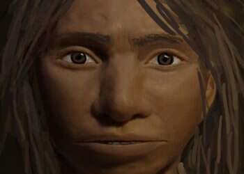 Researchers at Hebrew University reconstructed the face of a Denisovan based on DNA alone. Almost no fossils of Denisovans have been found.Credit...Maayan HarelHebrew University in Jerusalem, via