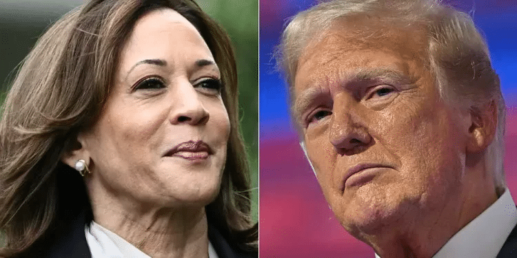 Trump no longer election 2024 betting favorite; Harris rises with bookies