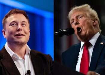 Donald Trump and Elon Musk