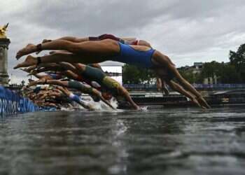 Olympic marathon swimmers