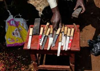 Ugandan tribe circumcision rite faces pressure to become tourist attraction