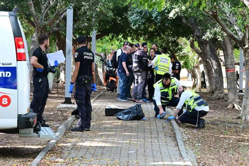 Elderly man, woman killed in Holon stabbing attack – www.israelhayom.com