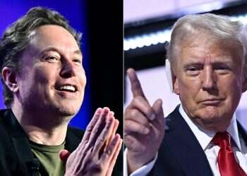 Trump exploring creation of Musk-led commission to cut red tape